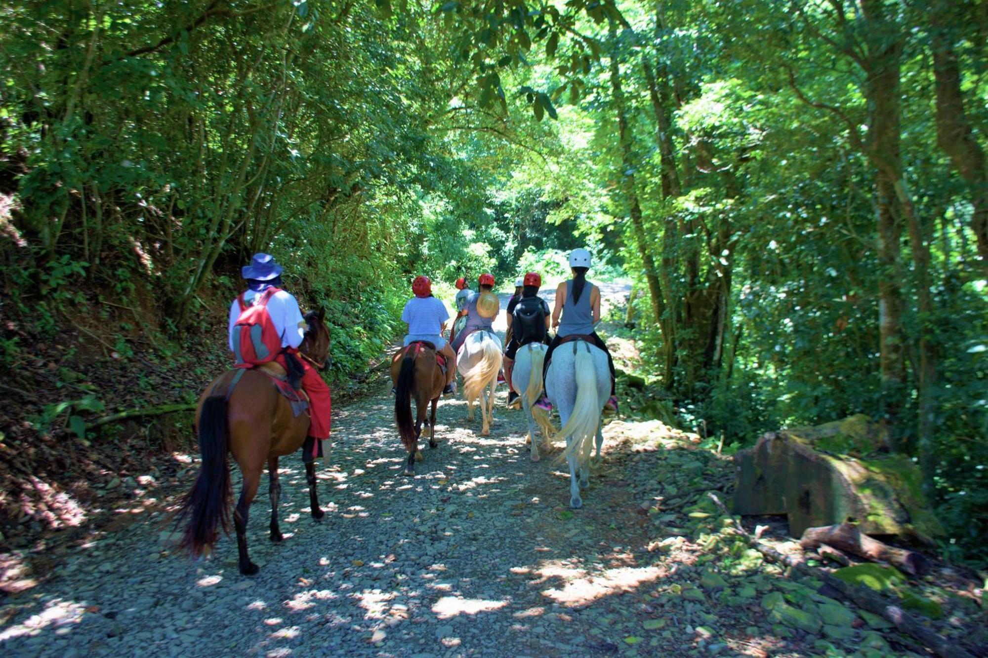 Adventure Park & Hotel Vista Golfo Tajo Alto Екстер'єр фото